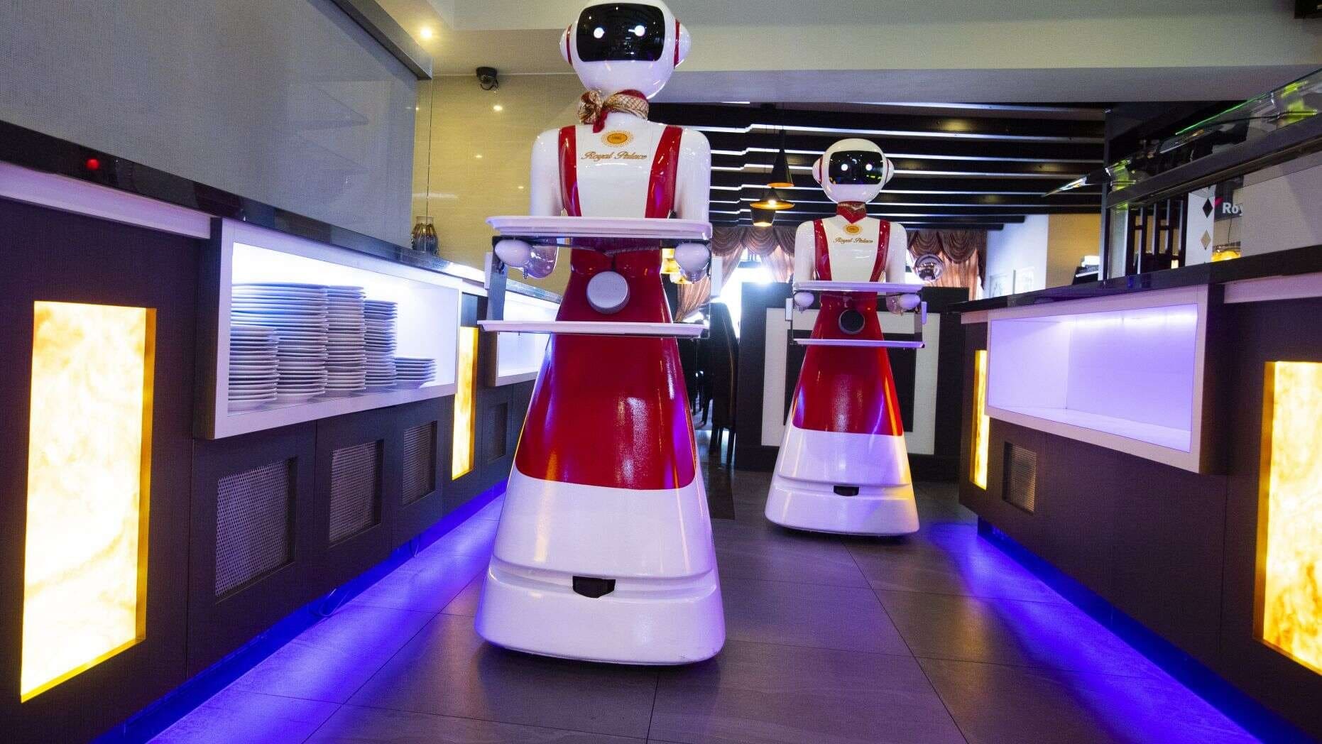 Robot phục vụ đang bước vào giai đoạn phát triển mạnh mẽ nhờ sự tiến bộ của AI, IoT và công nghệ tự động hóa.